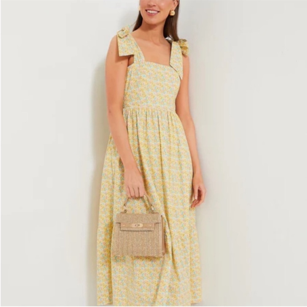 Tuckernuck- Hyacinth House - Clemmie Dress - size M Medium New With Tags NWT